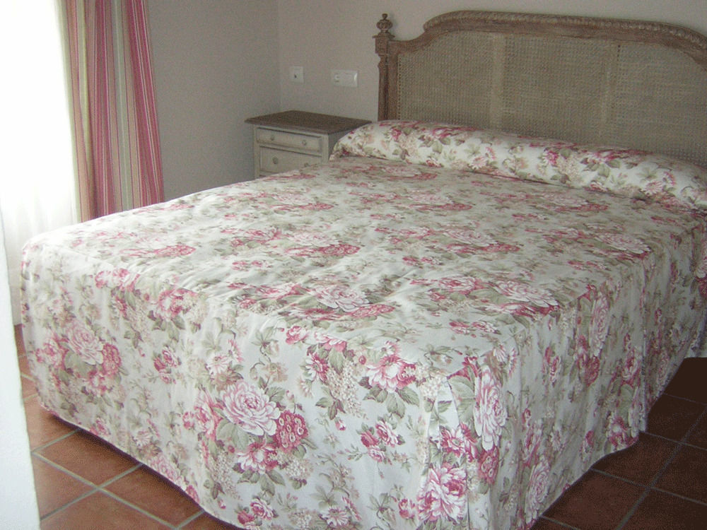 La Casona De Dona Petra Hotel Villarmentero de Campos Екстериор снимка